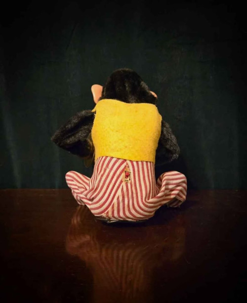 Bad-Monkey-with-musical-cymbals688d055142861a81.jpg